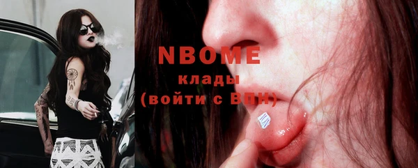 индика Богородск