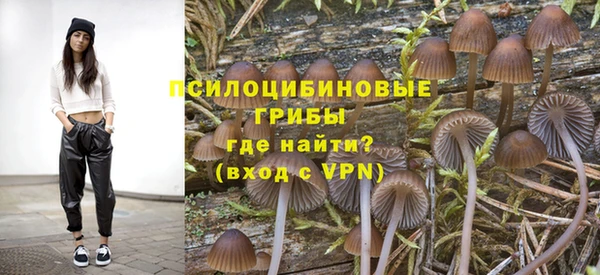 mix Белокуриха