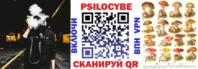 Галлюциногенные грибы Psilocybe  KRAKEN ссылки  Борисоглебск  как найти закладки 
